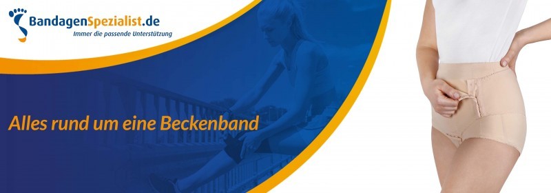 alles rund um eine beckenband