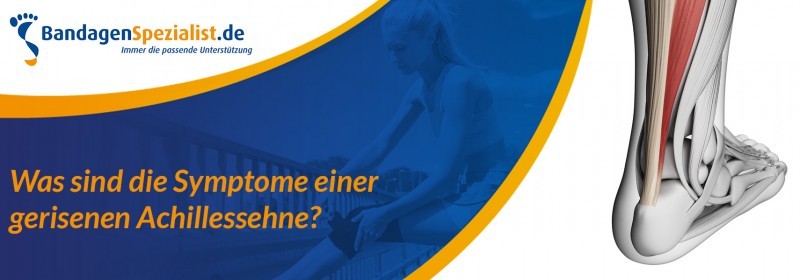 was sind die symptome einer gerissenen achillessehne